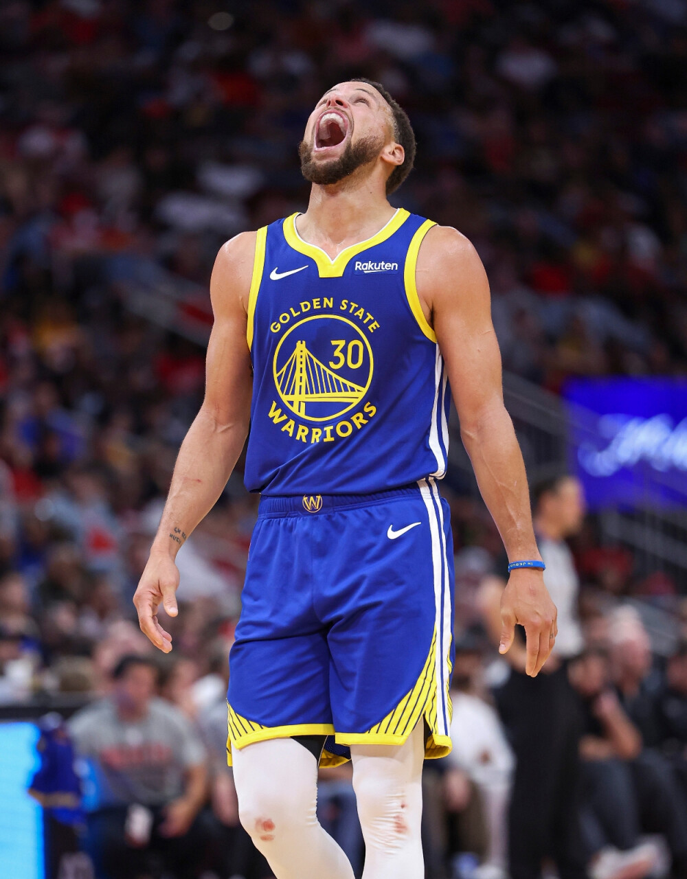 都能绽放出 都能绽放出