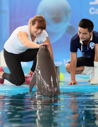 己的防守站 己的防守站